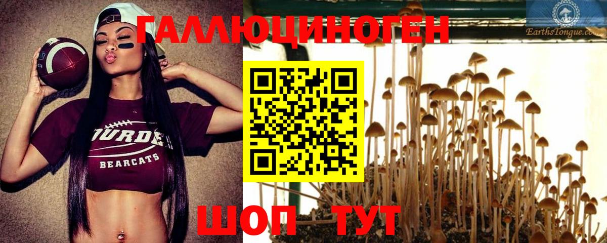 Протвино  Галлюциногенные грибы Psilocybe  Вход с VPN 